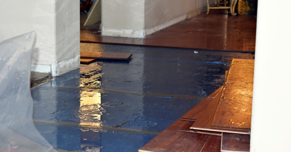 מקצועי חשיבות השימוש במייבשי לחות (Dehumidifiers) למניעת ריחות לוואי